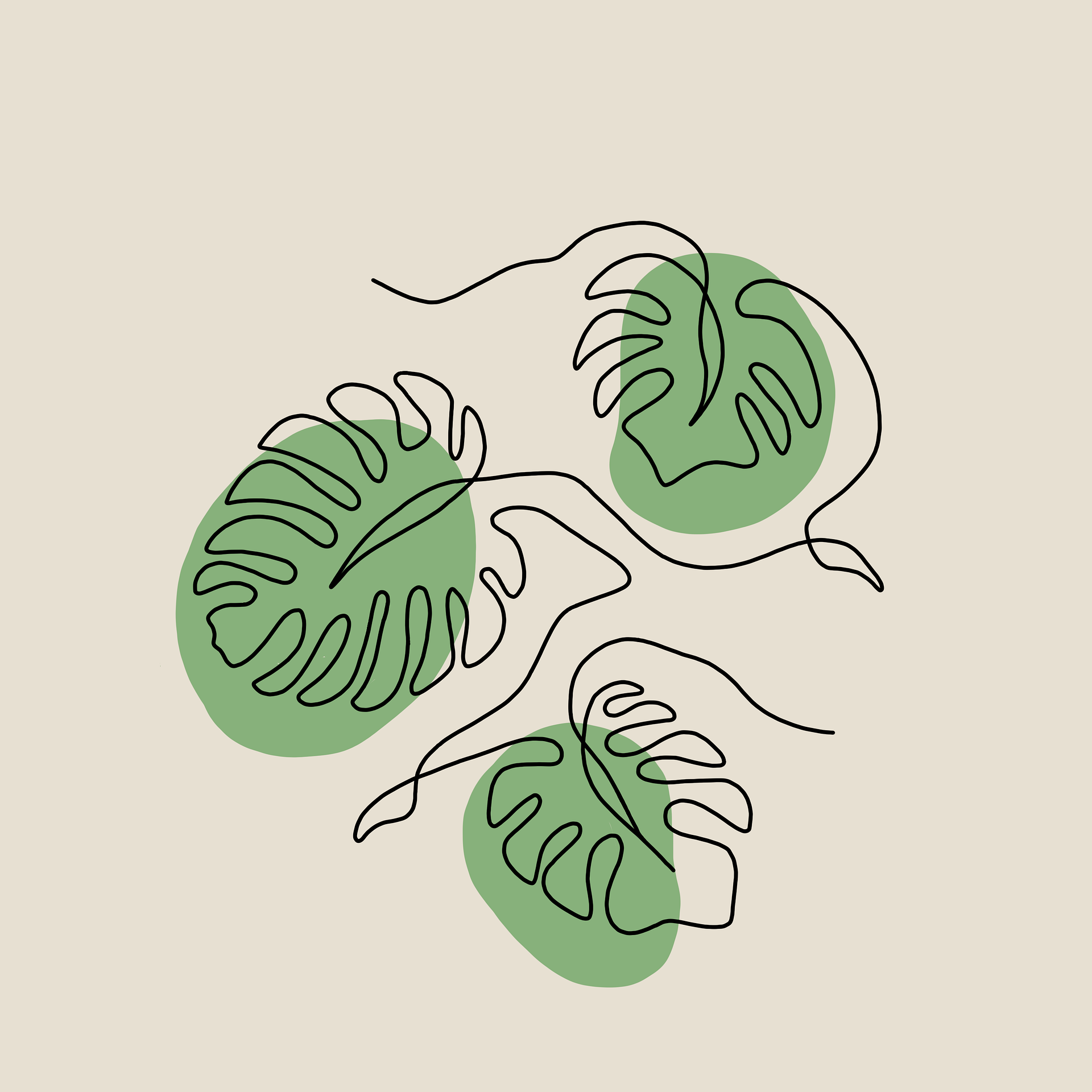 芋見靈感 Monstera Muse